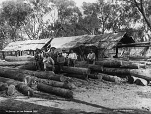 A sawmill in the interior from The Powerhouse Museum Collection