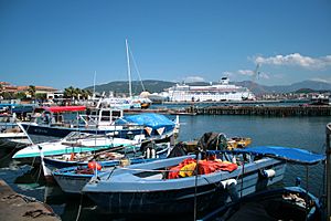Ajaccio Port JPG2