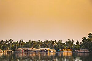 Alleppey Boat houses