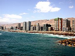 Antofagasta bord galleryfull.jpg