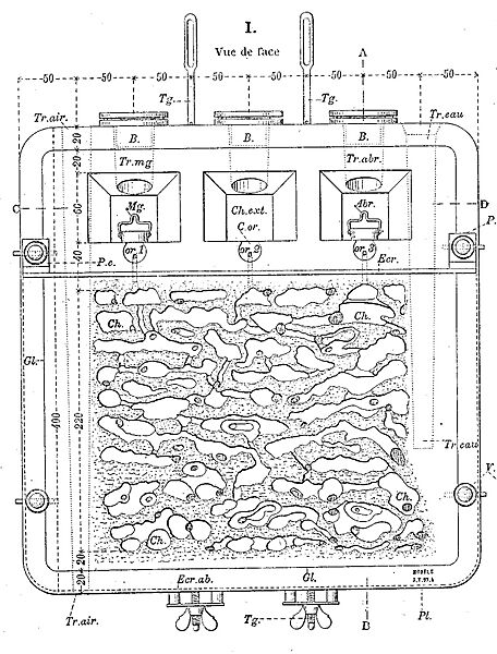 Appareil pour l'observation des fourmis