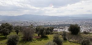 Aydın skyline