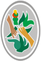 AyuAcaEscudo