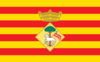 Flag of Sant Joan Despí