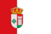 Flag of Campanario