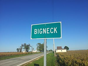 The Illinois Department of Transportation sign entering Bigneck from Highway 61 North