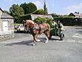 Blisland, Horse and Riders. - geograph.org.uk - 224948