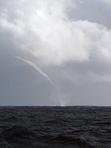 CSIRO ScienceImage 7790 A waterspout over the Tasman Sea
