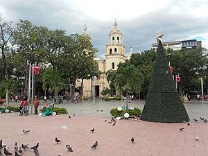 Catedral Cúcuta árbol navidad