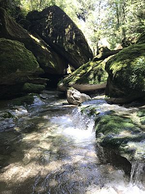 Cave Creek resurgence
