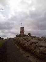 Centenary Tower in Mount Gambier (from base of hill, 2013)