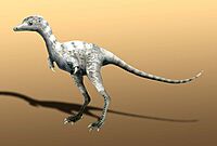Ceratonykus oculatus.jpg