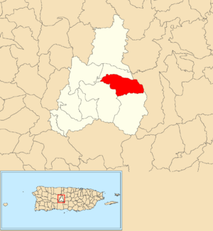 Location of Coabey within the municipality of Jayuya shown in red