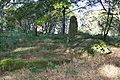 Corrstone Wood Recumbent Stone Circle (1) (geograph 4711812).jpg