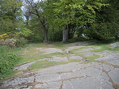 Corstorphine Hill - geograph.org.uk - 176577