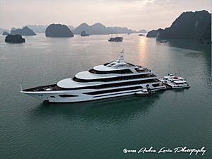 Cruise Ship-Halong Bay Vietnam-Andres Larin