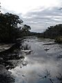 Cumberland-island-marsh