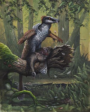 Dakotaraptor RPR