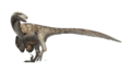 Deinonychus Restoration