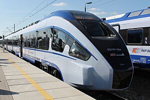 ED161-004, Trako 2015, 2015-09-25 (Muri WG 2015-34)
