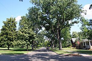 East Seventeenth Avenue Parkway