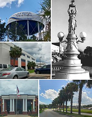 Clockwise from top-left: The Enterprise Water Tower, the Boll Weevil Monument, Boll Weevil Circle, Coffee County Courthouse, Enterprise Hospital.