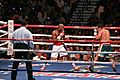 Floyd Mayweather, Jr. vs. Juan Manuel Márquez