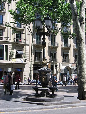 Font de Canaletes.jpg