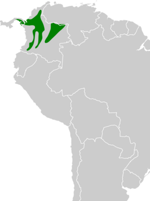 Forpus conspicillatus map.svg