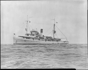 Gannet (AVP8), formerly Minesweeper AM41. Small seaplane tender. Port bow, 05-04-1937 - NARA - 520820.tif