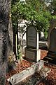 Grave, Sophie Germain