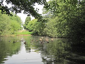 Hadley Green, Joslin's Pond