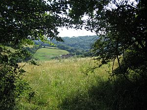 Honeybrook Farm - geograph.org.uk - 208920