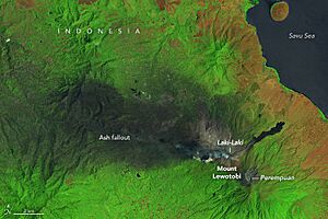 Indonesia lewotobi653 oli 20241105
