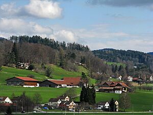 Irgenhausen - Irgenhausen castrum IMG 5379
