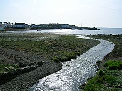Isle of Whithorn harbour
