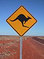 Kangaroo Sign at Stuart Highway