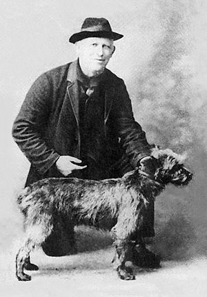 Kerry Blue Terrier 1916