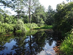 Kingfisher landing (looking NE)