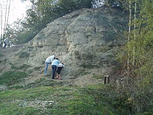 Kirtlington quarry - geograph.org.uk - 636275