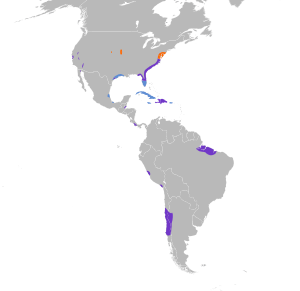 Laterallus jamaicensis map.svg