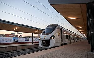 Le TER à la gare de Dakar, le 15 janvier 2019