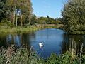 Lollycocks Pond (geograph 2172282)