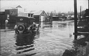 Looking west from Moonee Street after a shower of rain - Coffs Harbour, NSW, 1922