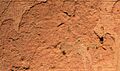 Naram-Sin stele inscription in Akkadian