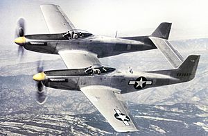 North American XP-82 Twin Mustang 44-83887.Color