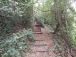 Old Park Wood steps