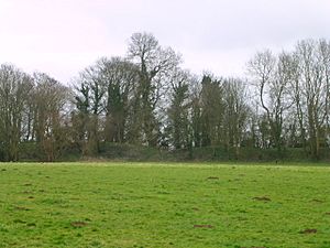 Outer bailey, looking south