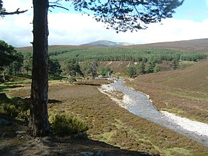 Overlooking the River Quoich in 2005