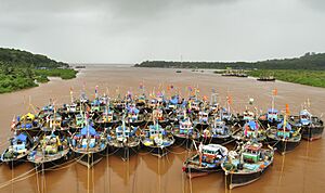 Parked boats at Anjarle Creek